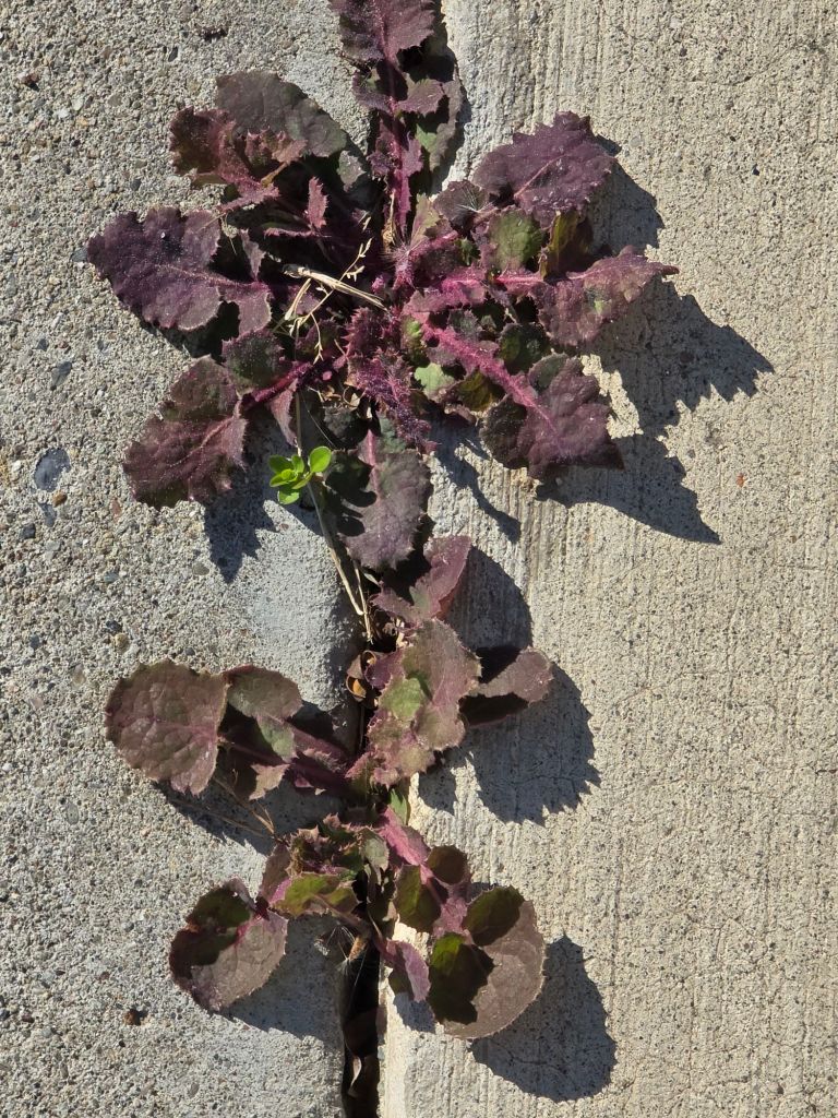 20250308_0925162260082774917766380