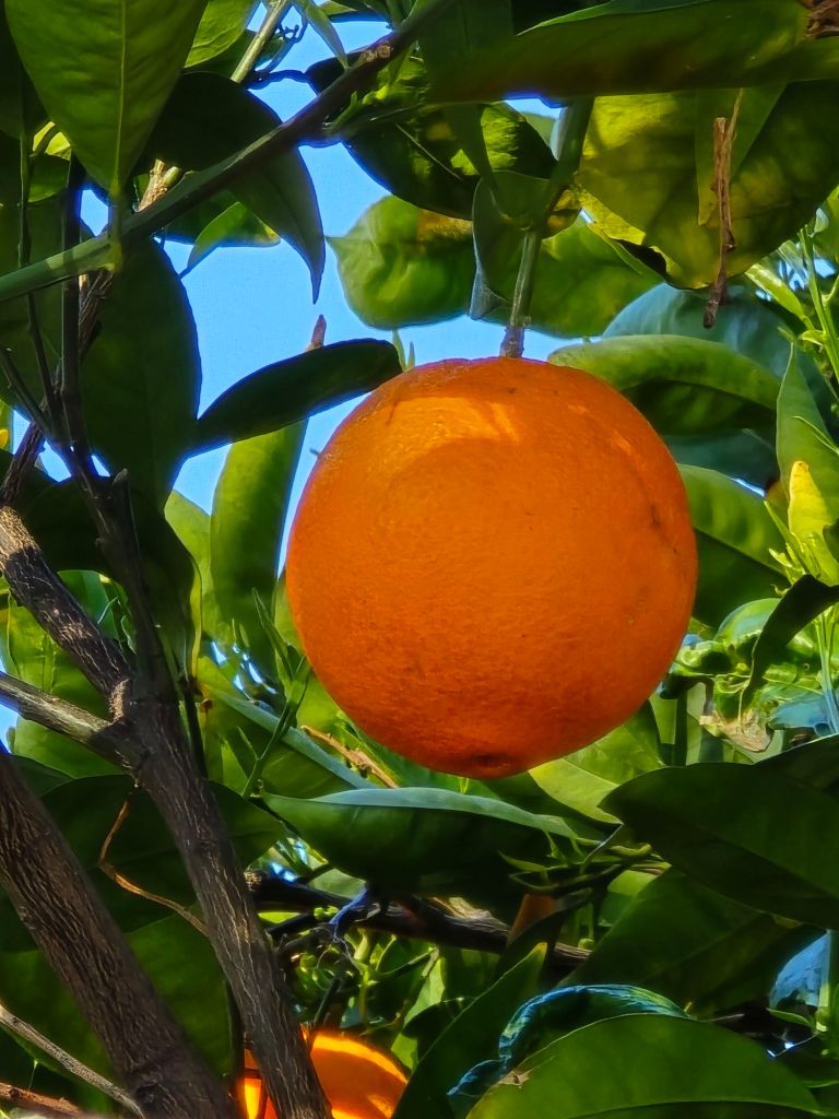 20250308_0952352926207274329218061