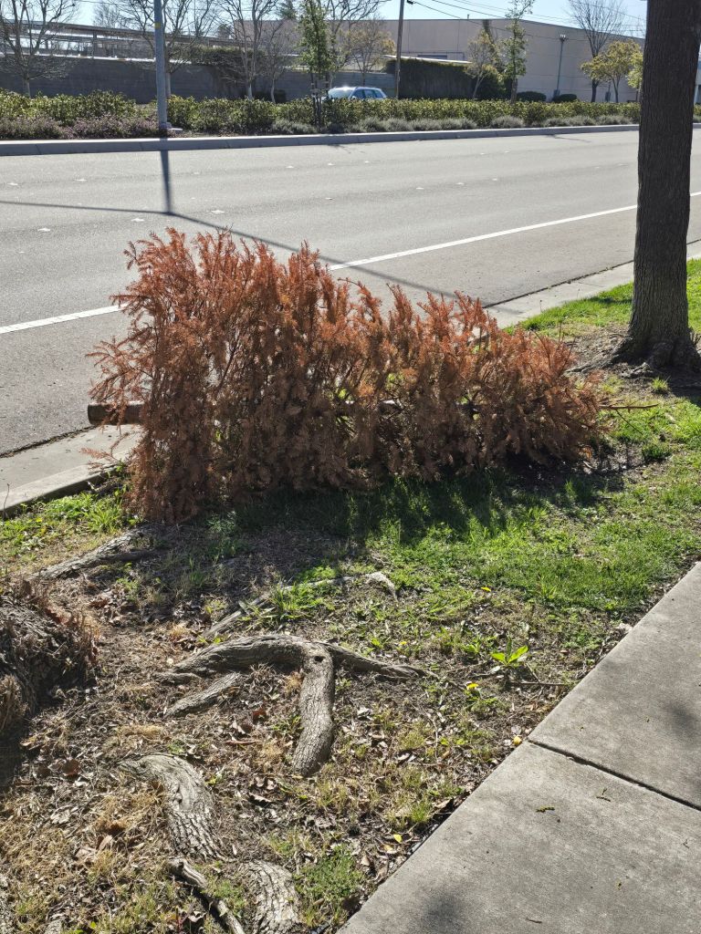 20250308_0954256324946632717668943